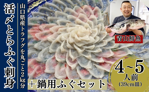 【北海道・東北・沖縄・離島配送不可/着日指定必須】2025年11月以降発送 活とらふぐ刺身 鍋用ふぐセット 4〜5人前 ふぐ 刺身 ふぐ刺し フグ トラフグ【活とらふぐ 刺身 鍋用ふぐセット ト