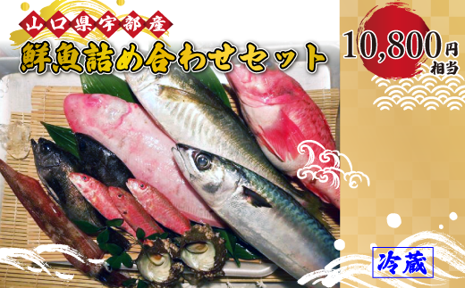 ywK{zNlߍ킹EZbgEpbN (10,800~) yN lߍ킹 Zbg pbN i VN c}~ hgp Ă  s꒼ RY Fs  Mtg 