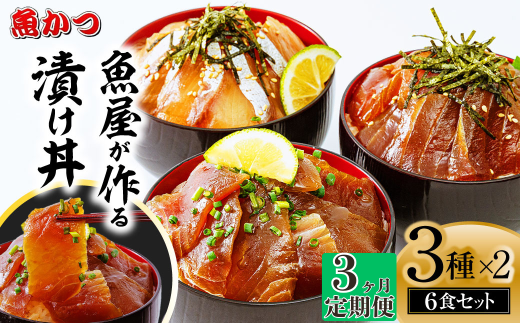 【3ヶ月 定期便】漬け丼 3種×2パック 計6食セット | 漬け丼 定期便 海鮮 惣菜 冷凍 真空パック 小分け 海鮮丼 海鮮セット 詰め合わせ 旬の鮮魚 ハマチ カンパチ カツオ 鯖 サバ ヒラマサ 平政