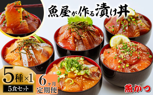 【6ヶ月 定期便】漬け丼 5種×1パック 計5食セット  | 漬け丼 定期便 海鮮 惣菜 冷凍 真空パック 小分け 海鮮丼 海鮮セット 詰め合わせ 旬の鮮魚 ハマチ カンパチ カツオ 鯖 サバ ヒラマサ 平政
