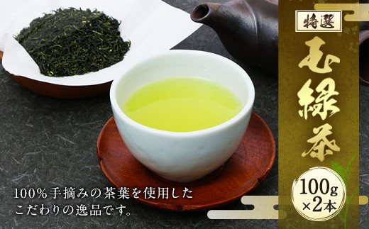 生田製茶 特選 玉緑茶 100g×2本 緑茶 茶葉 お茶熊本県相良村15000お茶・飲料お茶