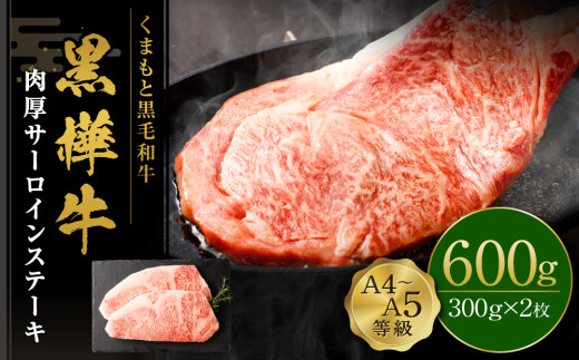 くまもと黒毛和牛 杉本本店 黒樺牛 A4~A5等級 肉厚サーロインステーキ 300g×2 計600g熊本県相良村50000肉牛肉