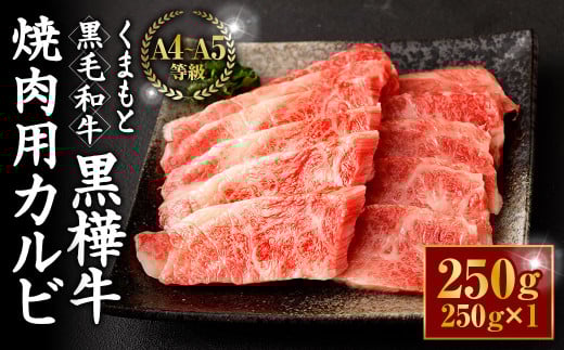 くまもと黒毛和牛 杉本本店 黒樺牛 A4~A5等級 焼肉用カルビ 250g熊本県相良村15000肉牛肉