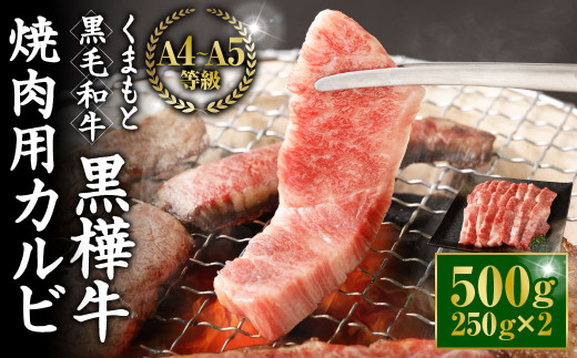 くまもと黒毛和牛 杉本本店 黒樺牛 A4~A5等級 焼肉用カルビ 250g×2 計500g熊本県相良村30000肉牛肉