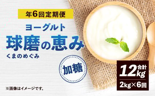【定期便 年6回】球磨の恵み ヨーグルト 加糖 2kg×6回 合計12kg 乳製品 生乳 朝食 おやつ スイーツ ジャム 冷蔵熊本県相良村44000卵・乳製品ヨーグルト