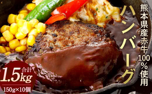 熊本県産赤牛ハンバーグ 1500g (150g×10個) あか牛熊本県相良村18000肉加工肉(ハム・ソーセージ等)