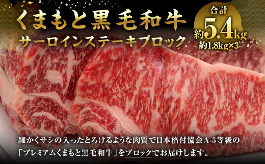 くまもと黒毛和牛 サーロインステーキ ブロック 約5.4kg熊本県相良村450000肉牛肉