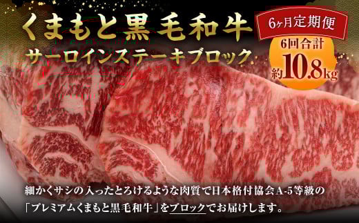 【6ヶ月定期便】 くまもと黒毛和牛 サーロインステーキ ブロック 約1.8kg×6回 【 合計約10.8kg 】熊本県相良村900000肉牛肉