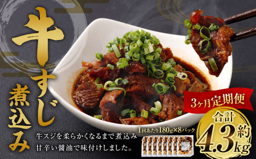 【3ヶ月定期便】牛すじ煮込み 180g×8パック 合計1.44kg 牛スジ スジ 牛肉 おつまみ おかず カレー 煮物 惣菜 お惣菜 湯煎 簡単調理 小分け熊本県相良村45000肉その他 肉