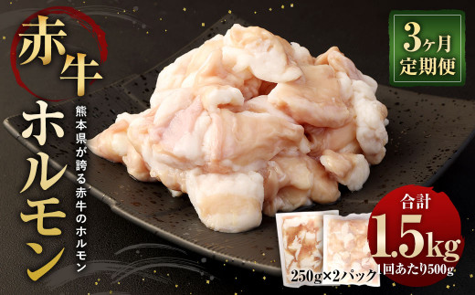 【3ヶ月定期便】赤牛ホルモン 500g (250g×2パック)×3回 合計1.5kg熊本県相良村45000肉牛肉