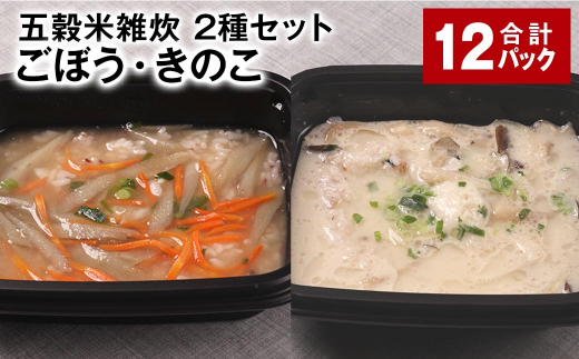 五穀米雑炊 2種セット(ごぼう・きのこ) 各6パック 計12パック 五穀米 雑炊 うるち米熊本県相良村24000米・パン玄米・雑穀米・もち米・餅