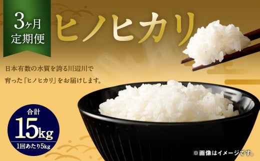 【3ヶ月定期便】相良村産 ヒノヒカリ 5kg お米 白米熊本県相良村60000米・パン白米