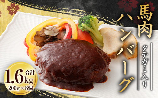 タテガミ入り 馬肉 ハンバーグ デミソース 8個 セット 計1.6kg熊本県相良村19000肉ジビエ