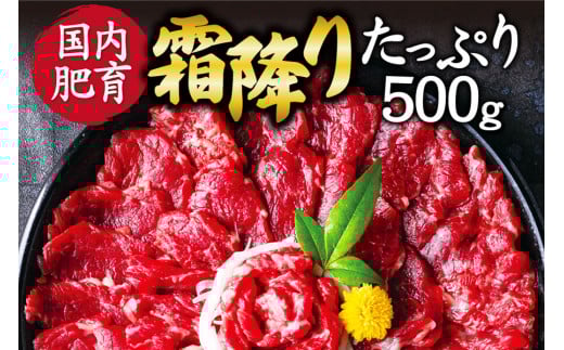 【ふるさと納税】 熊本馬刺し 霜降りたっぷり500g (50g×10パック) 専用醤油付き熊本県相良村48000肉ジビエ