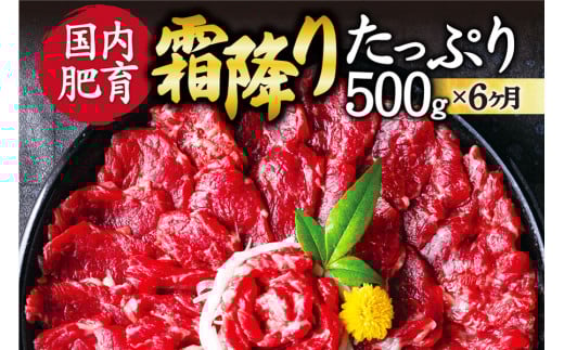 【6ヶ月定期便】【ふるさと納税】 熊本馬刺し 霜降りたっぷり500g (50g×10パック) 専用醤油付き熊本県相良村285000肉ジビエ