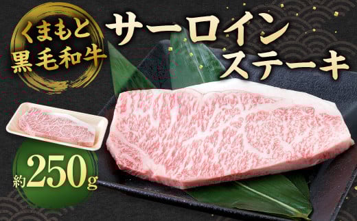 くまもと黒毛和牛 サーロインステーキ 250g 牛肉 お肉熊本県相良村31000肉牛肉
