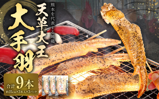 熊本 天草大王 大手羽 9本 (3本×3パック) 地鶏 鶏肉熊本県相良村19000肉鶏肉
