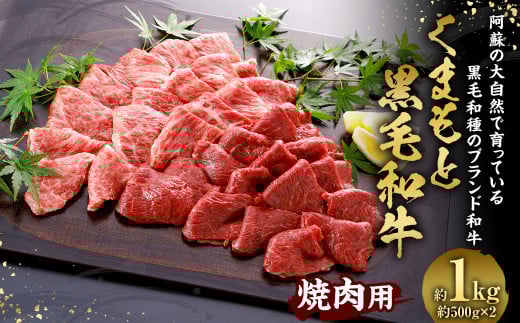 くまもと黒毛和牛 焼肉用 1000g  焼き肉 牛肉 熊本県熊本県相良村30000肉牛肉