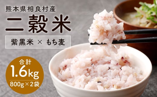 ystz 񍒕āi×j2܃Zbg 800g×2 y2025N11{蔭Jnz   G G   YF{Ǒ12000āEpāEGāEāE