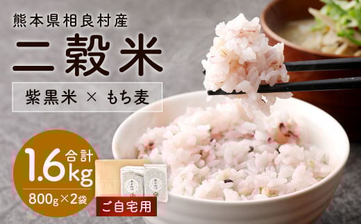 【先行受付】【ご自宅用】二穀米(800g×2袋) 合計1.6kg 【2025年11月上旬より発送開始】 黒米 赤米 もち麦 ブレンド 雑穀熊本県相良村11000米・パン玄米・雑穀米・もち米・餅