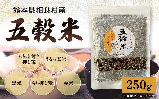 【先行受付】 相良村産 ヘルシー五穀米250g 【2025年11月上旬より発送開始】 雑穀 ブレンド熊本県相良村3000米・パン玄米・雑穀米・もち米・餅