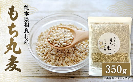 ご飯にもサラダにも!もち丸麦350g もち麦熊本県相良村3000米・パン玄米・雑穀米・もち米・餅