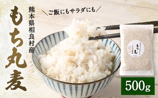 ご飯にもサラダにも! もち丸麦 500g熊本県相良村4000米・パン玄米・雑穀米・もち米・餅