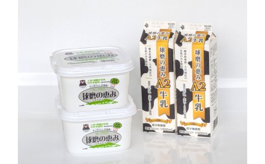 球磨の恵み「A2牛乳」と「球磨の恵みヨーグルト(砂糖不使用)」セット 牛乳 ミルク Bカゼイン βカゼイン ヨーグルト 乳製品 生乳 朝食 冷蔵 九州 熊本県産 人吉球磨 相良村熊本県相良村120