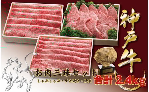 神戸牛(神戸ビーフ) お肉三昧セット 2400g兵庫県宝塚市100000肉牛肉