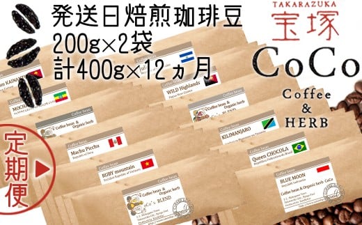 yˁz12̒ցi蓤ES12ށjyzɌˎs114000ER[q[Eg