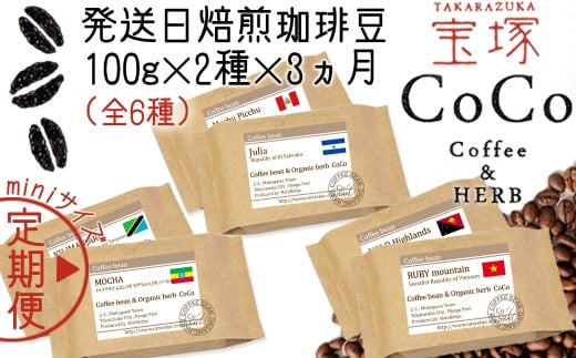 【宝塚】miniサイズ3ヶ月定期便C(当日自家焙煎珈琲6種 計600g)【粉】兵庫県宝塚市15000お茶・飲料コーヒー・紅茶