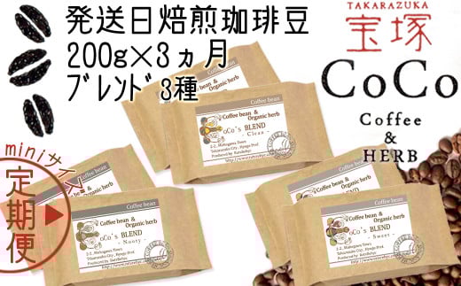 【宝塚】miniサイズ3ヶ月定期便A(当日自家焙煎珈琲3種 計600g)【粉】兵庫県宝塚市14000お茶・飲料コーヒー・紅茶