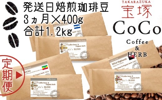 yˁz3̒ցi蓤6 v1200gjType2yzɌˎs28000ER[q[Eg
