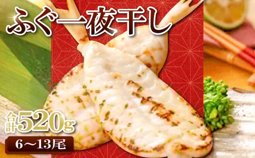 {̎|𐶂uӂ銱v@520gytO  520g ӂ 銱 VN 銱 Ȃ   Ⓚ ̍ ӎ ܂ g  Mtg ̓ ̓ Yz