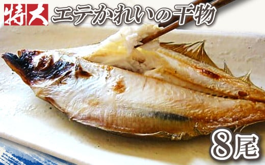 特大!旬獲れエテかれいの干物(8尾)【特大 エテかれいの干物 140g〜170g×8尾 合計約1100g〜1200g 国産 魚介類 魚 カレイ 一夜干 肉厚 無添加 白かれい 父の日 母の日】島根県大田市20000魚介・