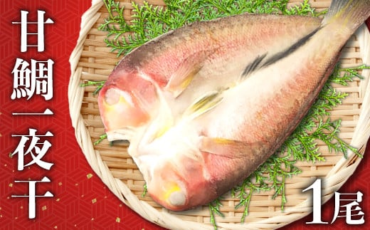 「一日漁」甘鯛一夜干【干物 鯛 甘鯛 1尾 約27cm 約300g 国産 魚介類 魚 あまだい たい タイ 一夜干 一日漁 無添加 天日塩 特産品 お取り寄せ グルメ 贈答 ギフト プレゼント 父の日 母の日】島