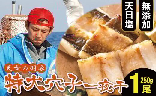特大 あなご一夜干し 1尾 250g 「天女の羽衣」【穴子 一夜干し 250g 穴子干物 魚介類 魚 アナゴ 干物 特大 50cm 無添加 天日塩 新鮮 冷凍 真空パック 贈答 ギフト 父の日 母の日】島根県大田市1000