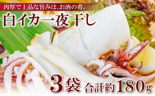 uނ̃PTLCJɌIv銱i3jy銱   60`80g 3 銱 銱 CJ  PTLCJ ґ ܂ ̍  Mtg Ⓚ ̓ 
