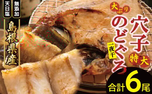 大ぶり「のどぐろ一夜干し」&特大「穴子一夜干し」【干物セット のどぐろ干物 176〜200g×3尾 穴子干物 50cm前後×3尾 のどぐろ ノドグロ 穴子 あなご アナゴ 干物 ひもの 無添加 真空パック
