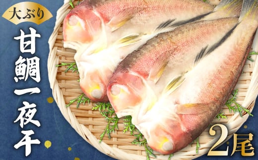 大ぶり甘鯛一夜干(2尾)【甘鯛 一夜干し 2尾 干物 あまだい ぐじ 大ぶり おつまみ 酒の肴 素焼き 唐揚げ 鯛 たい タイ あまだい アマダイ 魚介 魚貝 一日漁 無添加 贅沢 高級 父の日 母の日