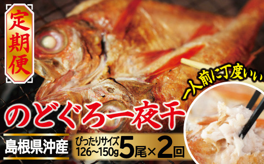ぴったりサイズの「のどぐろ一夜干」5枚 定期便(2回お届け)【定期便 のどぐろ 干物 126〜150g×5尾 2回 定期 一人前 天日塩 贅沢 のどぐろ干物 個包装 自宅用 ギフト 島根県 大田市】島根県