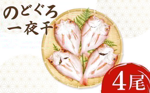 ノドグロ一夜干4尾セット【のどぐろ一夜干し のどぐろ 干物 4尾 1尾あたり140〜160g 島根県産 大田市産 魚介類 魚 ノドグロ のど黒 高級魚 干物 真空パック 冷凍】島根県大田市20000魚介・海