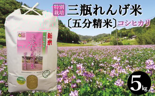 〈五分精米〉特別栽培 三瓶れんげ米 コシヒカリ 5kg【令和6年産 お米 5kg こしひかり 五分精米 2024年産 特別栽培米 5分づき 無化学窒素肥料 減農薬米】島根県大田市11000米・パン白米