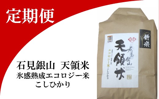 石見銀山天領米定期便(5kg×2回お届け)【コシヒカリ 定期便 こしひかり 定期 2回 精米 5kg×2回 合計10kg 島根県産 大田市産 米 氷感熟成 エコロジー米】島根県大田市20000米・パン白米