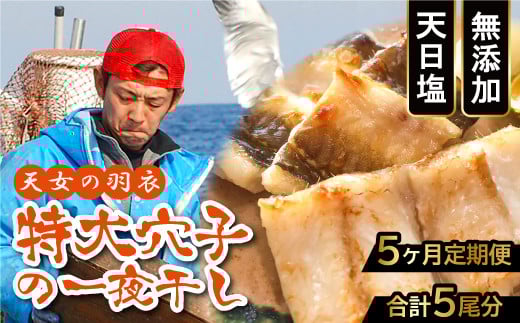 【全5回定期便】特厚 特大 穴子 一夜干し 1尾×5回【穴子 50cm前後 1尾 5回定期便 穴子干物 島根県産 大田市産 アナゴ 干物 無添加 天日塩 新鮮 冷凍 真空パック】島根県大田市50000魚介・海産物