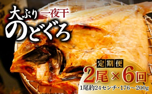 【定期便】島根県沖!大ぶり「のどぐろ一夜干」定期便(6回お届け)【定期便 海鮮 のどぐろ 干物 2尾 6回 合計12尾 のどぐろ一夜干し のどぐろ干物 大ぶり 大 個包装 真空パック 冷凍 セッ