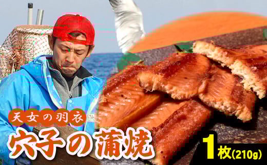 あなご 蒲焼 1枚 210g 天女の羽衣【210g 穴子蒲焼き 魚介類 魚 穴子 アナゴ 蒲焼き 仕込み?油 タレ付き 山椒付き 新鮮 冷凍 真空パック 贈答 ギフト プレゼント 父の日 母の日】島根県大田市10000