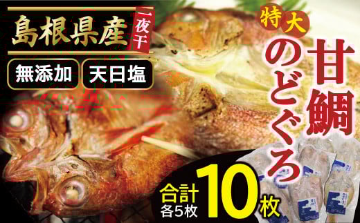 特大のどぐろと甘鯛の一夜干し(10枚セット)【干物セット のどぐろ干物 5枚×230g 甘鯛干物 5枚×325g 無添加 天日塩 のどぐろ ノドグロ 特大 アマダイ 干物 個包装 真空パック 父の日 母の日