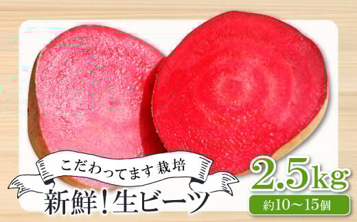 【季節限定品】あまくて真っ赤なビーツ2.5s【ビーツ 食べる輸血 奇跡の野菜  健康野菜 スーパーフード カエンサイ ボルシチ ポタージュ スムージー スイーツ ビタミン】島根県大田市10000