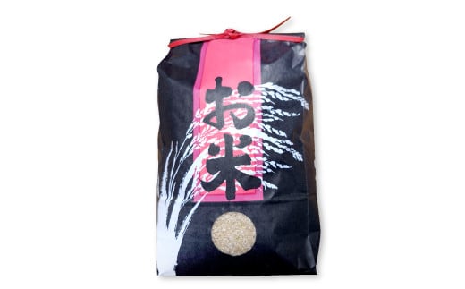 〈玄米〉美味しまねゴールド認証 島根県産 コシヒカリ 5kg【先行予約 令和6年産 新米 5kg こしひかり 玄米5kg 2024年産 お米 GAP認証】島根県大田市10000米・パン白米